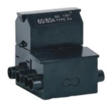 Baquelita de bajo voltaje 60 / 80A 1P + N Fusible de corte para servicio doméstico